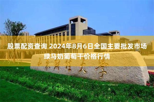 股票配资查询 2024年8月6日全国主要批发市场绿马奶葡萄干价格行情