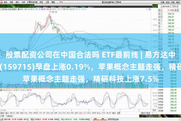 股票配资公司在中国合法吗 ETF最前线 | 易方达中证稀土产业ETF(159715)早盘上涨0.19%，苹果概念主题走强，精研科技上涨7.5%