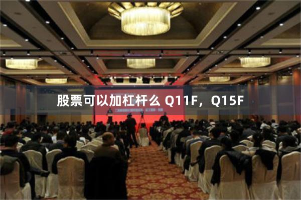 股票可以加杠杆么 Q11F，Q15F