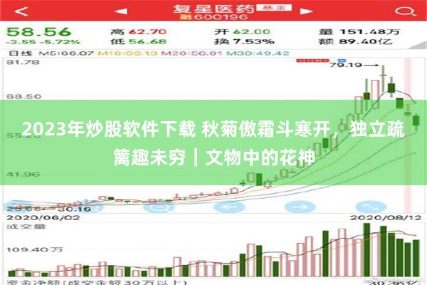 2023年炒股软件下载 秋菊傲霜斗寒开，独立疏篱趣未穷｜文物中的花神