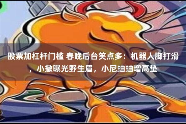 股票加杠杆门槛 春晚后台笑点多：机器人脚打滑，小撒曝光野生眉，小尼蛐蛐增高垫